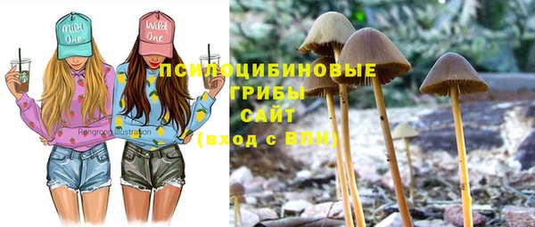 амф Алзамай