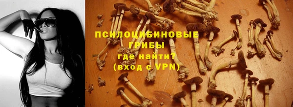 амф Алзамай