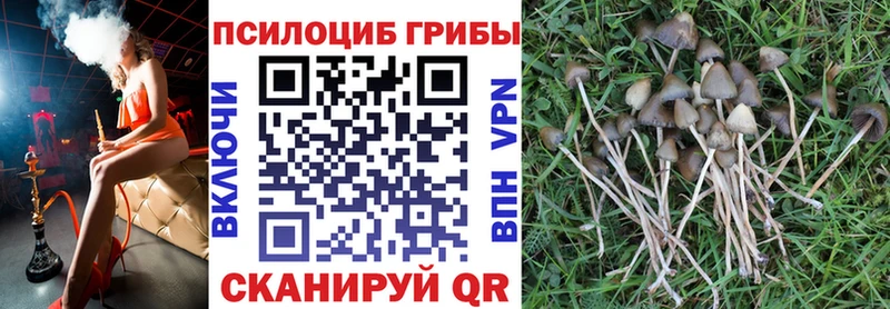 Псилоцибиновые грибы прущие грибы  что такое наркотик  Разумное 